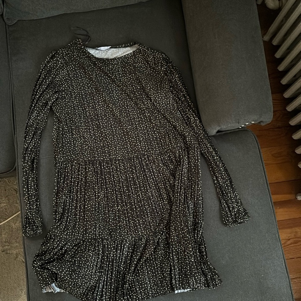 Zara Polka Dot Dress